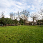 Jardin herbeux avec arbres dénudés en hiver