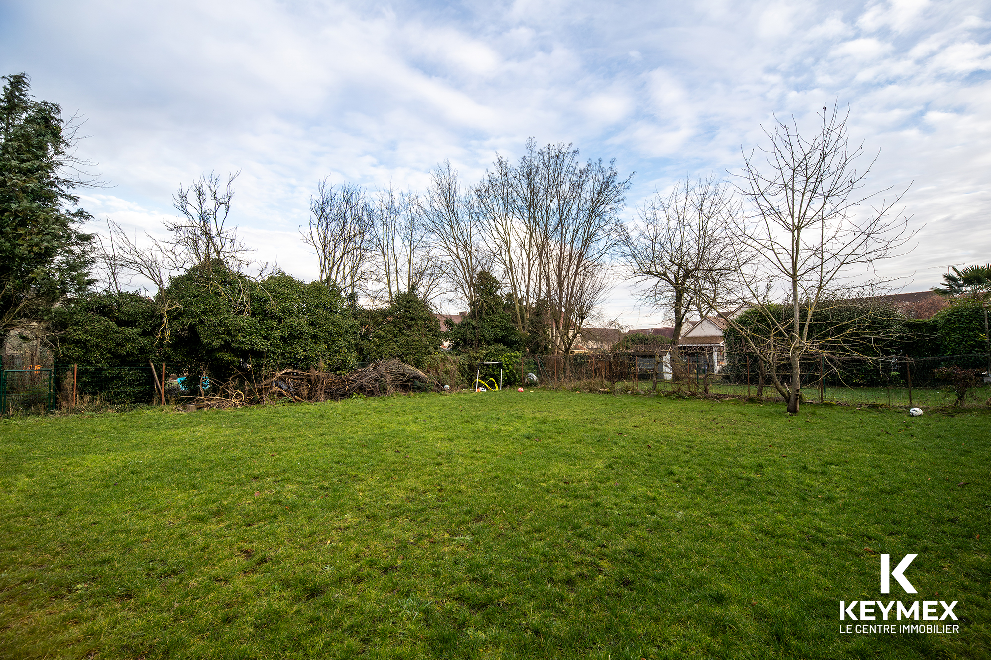 Jardin herbeux avec arbres dénudés en hiver