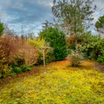 Jardin verdoyant avec arbres et buissons luxuriants.