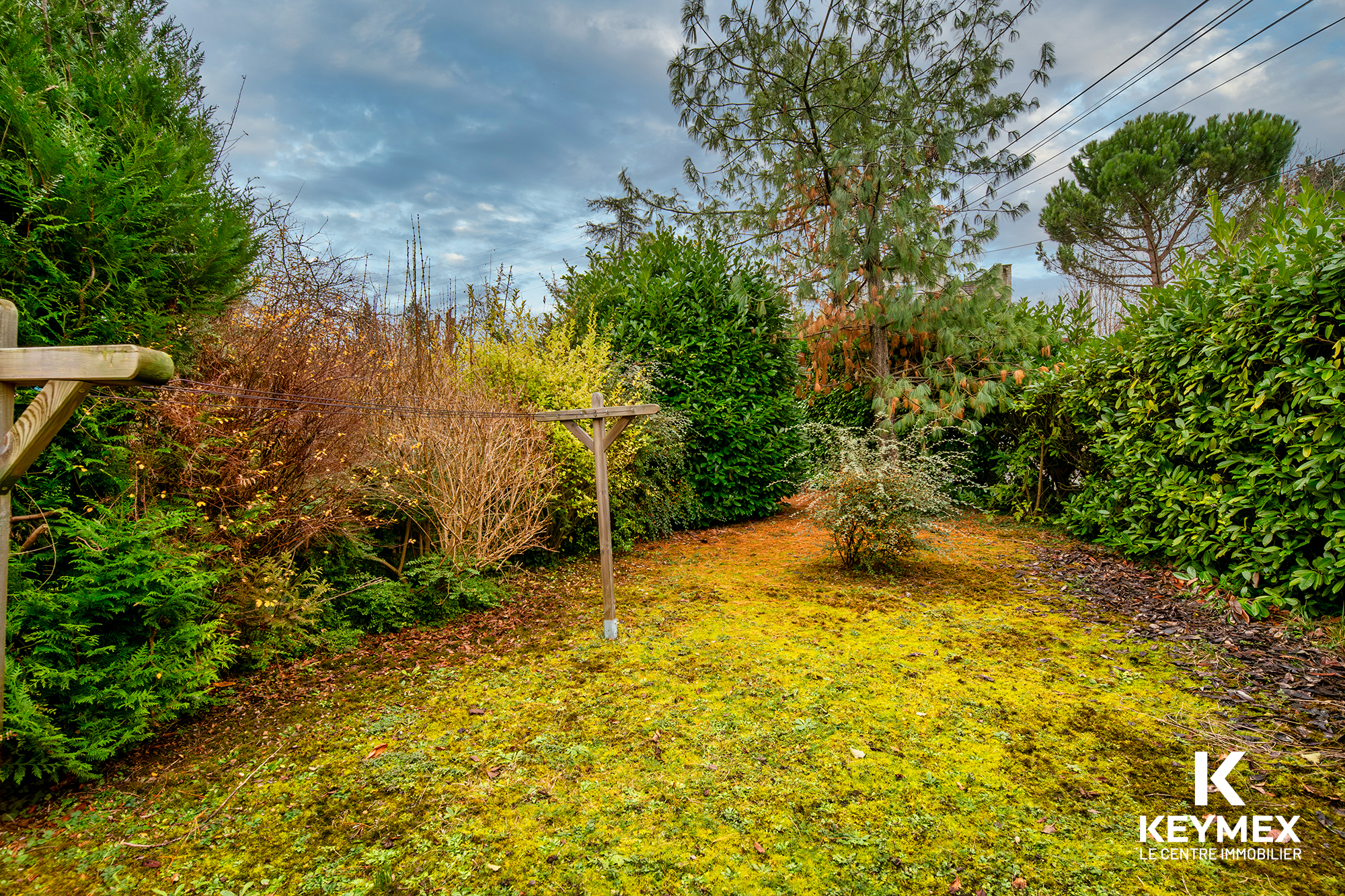 Jardin verdoyant avec arbres et buissons luxuriants.