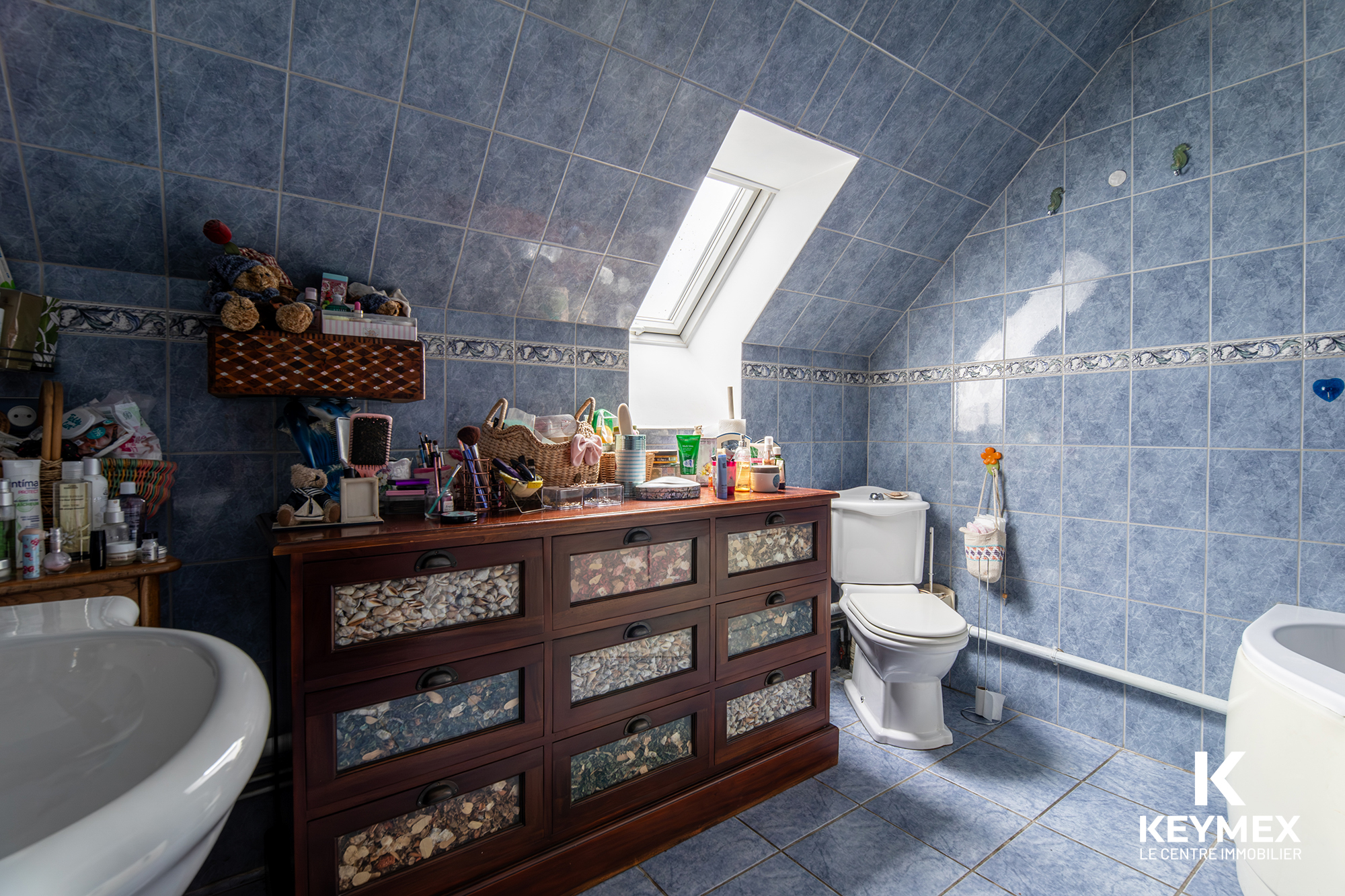 Salle de bain avec carrelage bleu et fenêtre de toit.