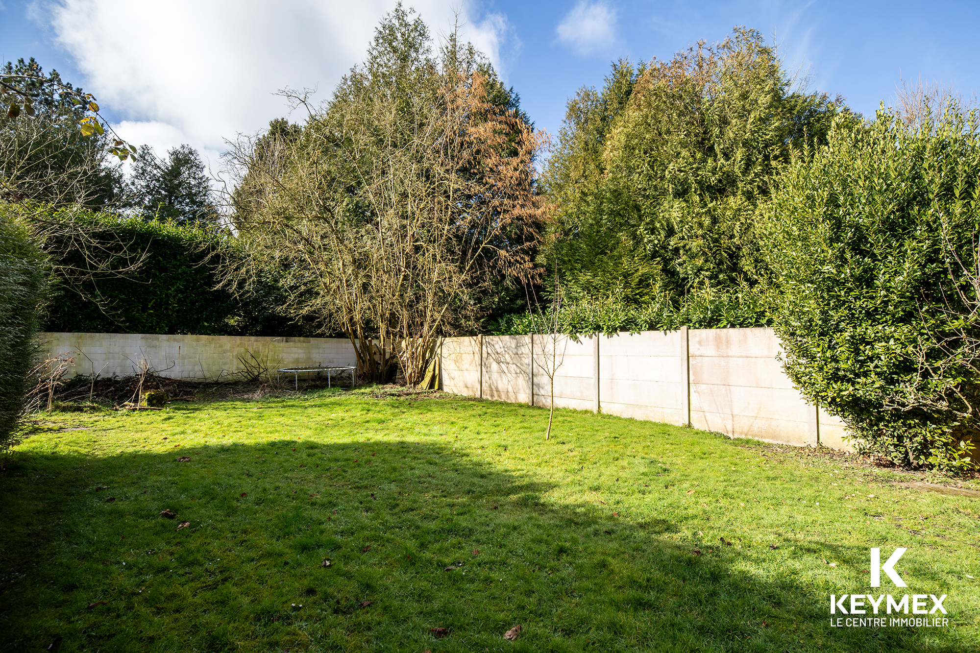 Jardin avec arbres et clôture en béton