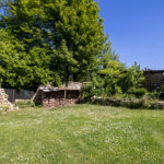 Jardin avec abri de bois et herbes vertes.