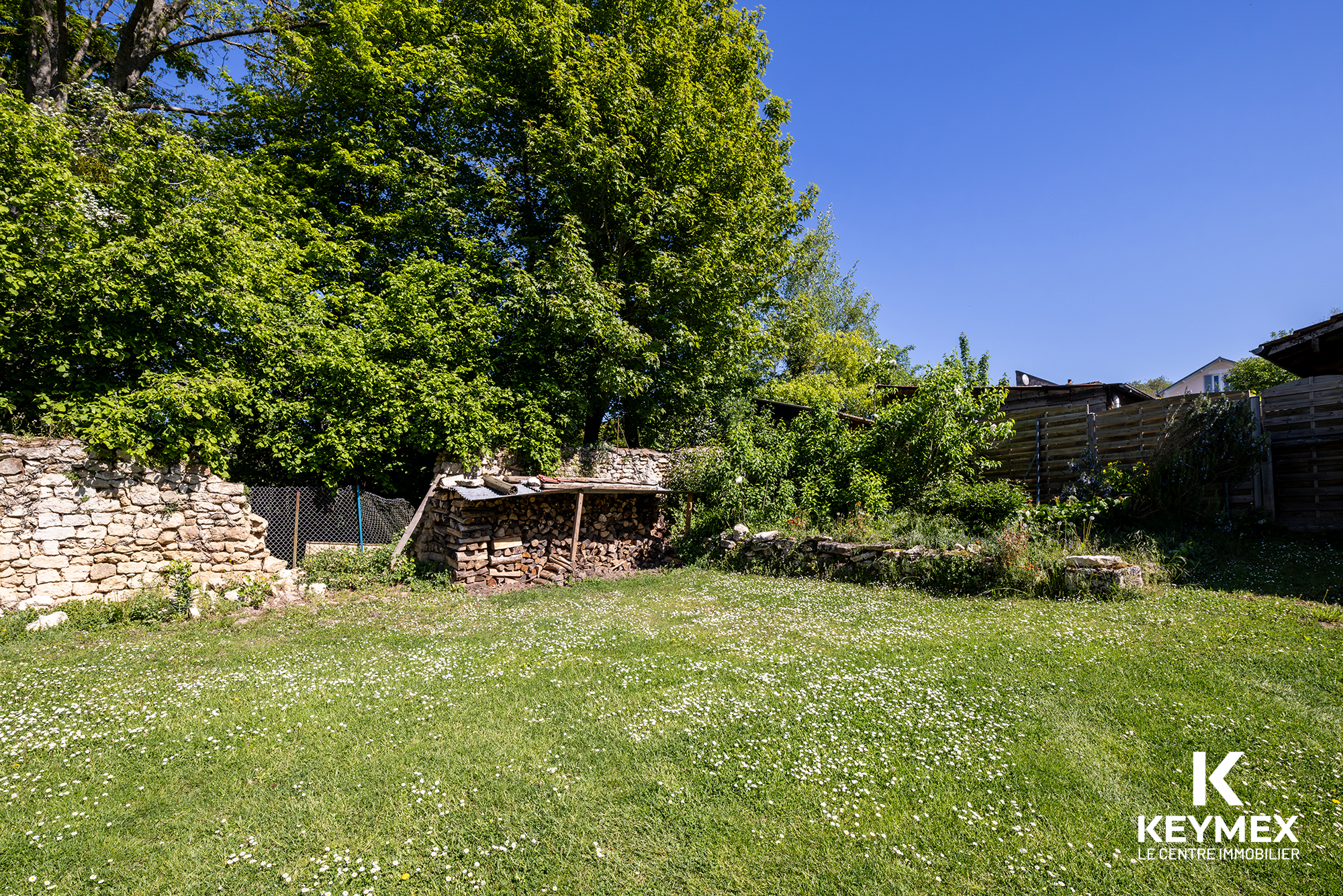Jardin avec abri de bois et herbes vertes.