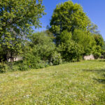 Grand jardin verdoyant sous ciel bleu clair.