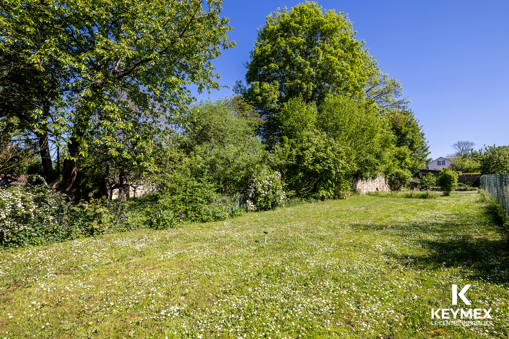 Grand jardin verdoyant sous ciel bleu clair.