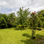 Jardin verdoyant avec arc floral et ciel nuageux.