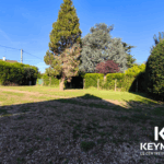 Jardin spacieux avec arbres, ciel bleu, soleil.