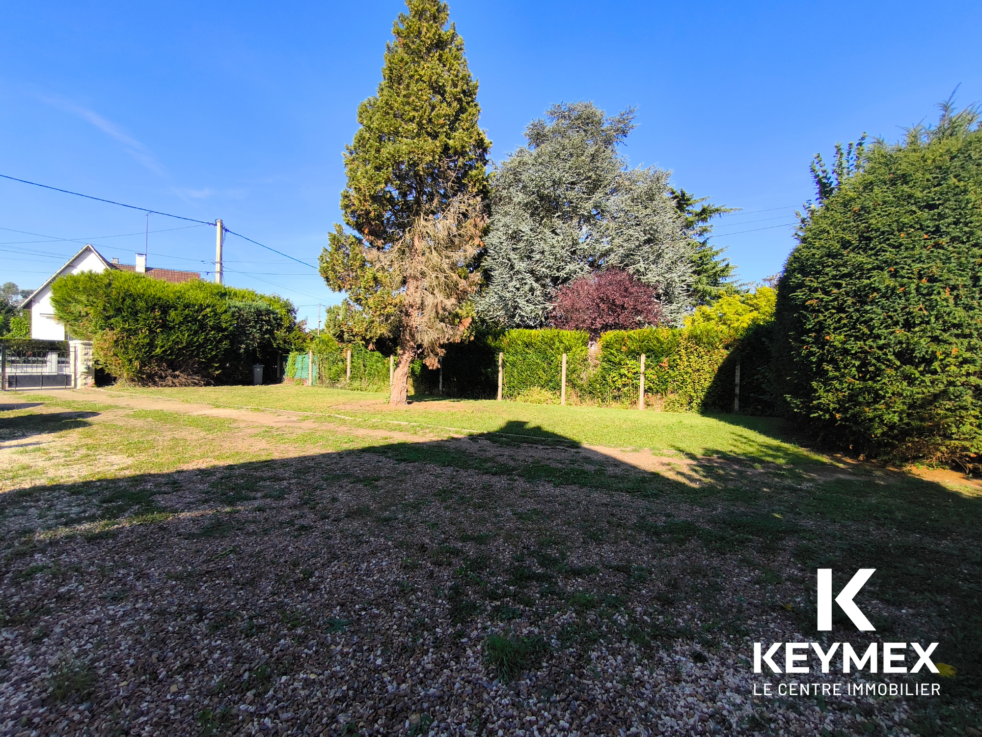 Jardin spacieux avec arbres, ciel bleu, soleil.