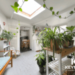 Cuisine lumineuse avec plantes et mobilier moderne.