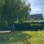 Jardin avec table et chaises en bois, soleil, maison.